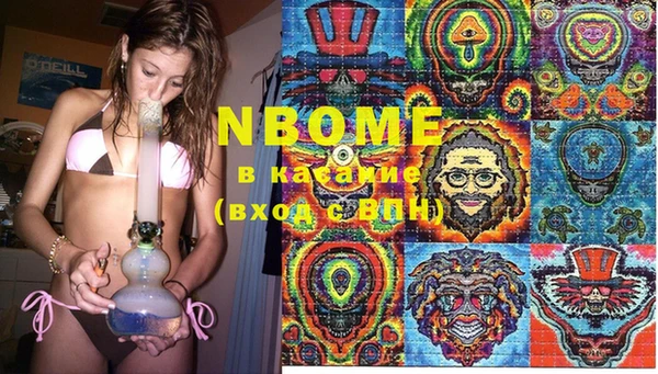 apvp Вяземский