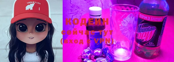 apvp Вяземский