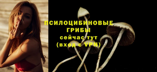 Альфа ПВП Вязники