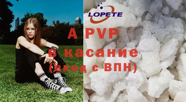 apvp Вяземский