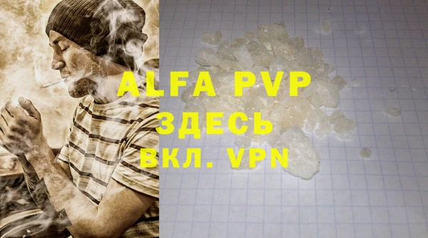 спиды Волосово