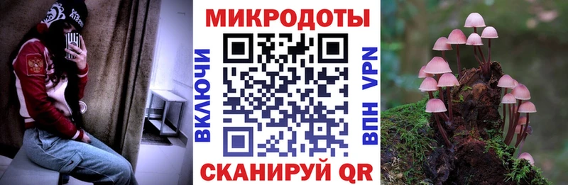 Псилоцибиновые грибы ЛСД  закладки  Инта 