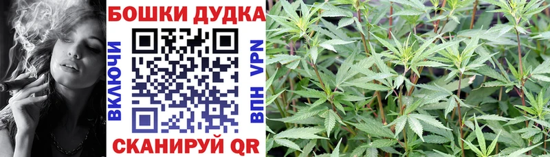 купить цена Инта Конопля White Widow